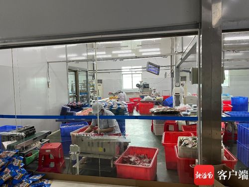 天天315 115袋香脆椰子块菌落总数超标 海南一食品公司被罚没6.6万余元